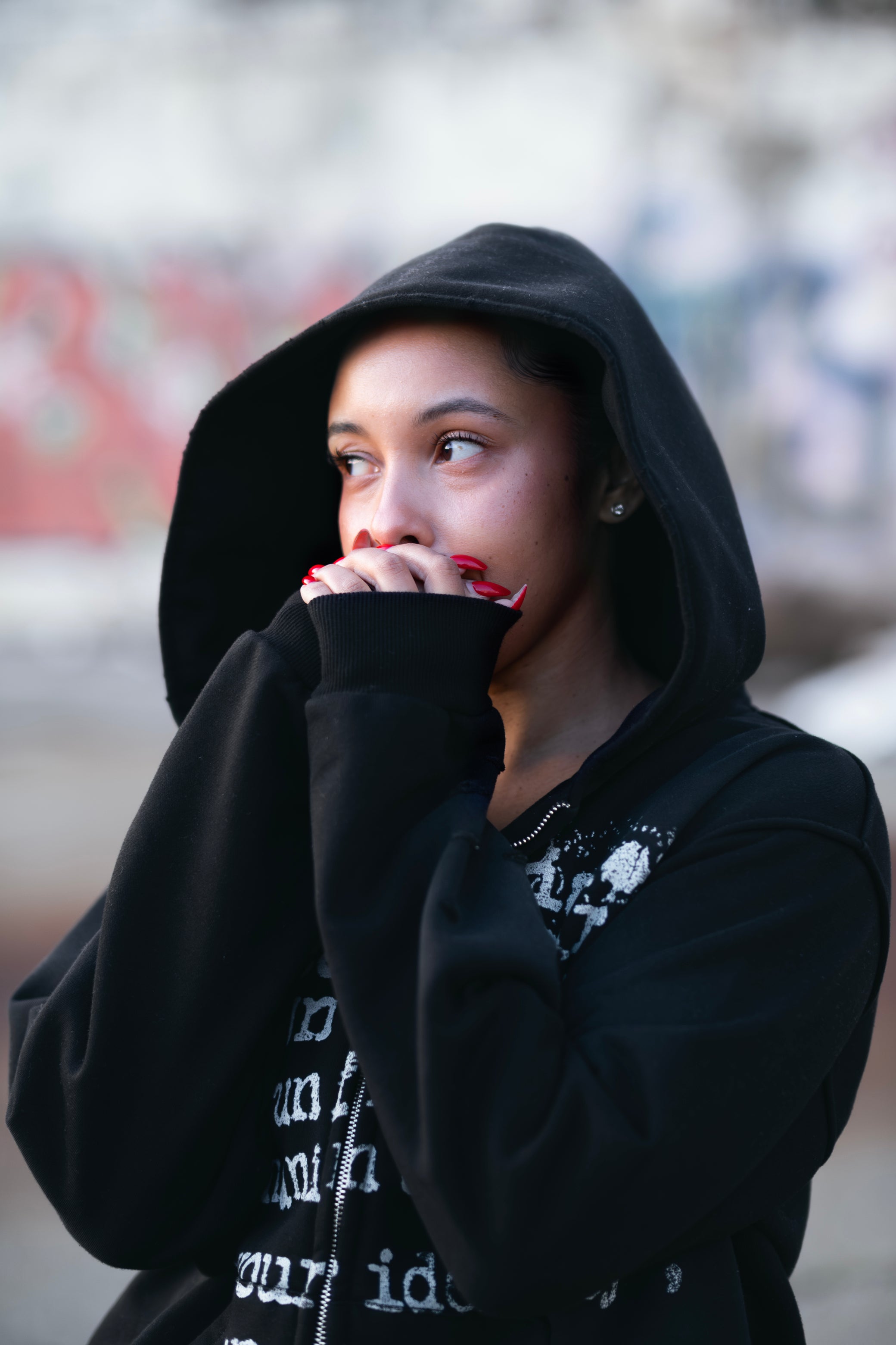 CREATE YOUR VISION ZIPUP